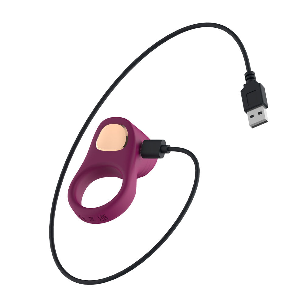 Passion Play Rechargeable Vibrating Ring PP0253 – Purple