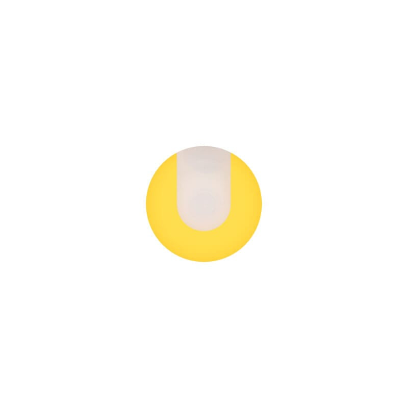 Evolved Sunny Sensations