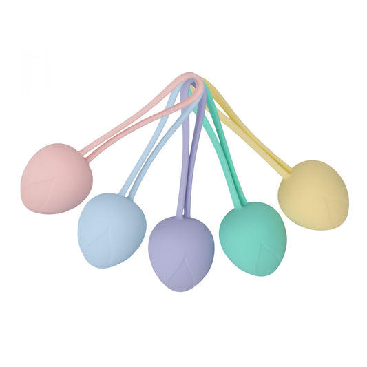 LOVELINE PelviFit Berry - Kegel Kit - Set of 5 Sizes