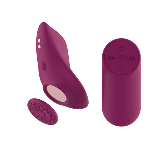 Passion Play Magnet Panty Vibe with Remote - USB Rechargeable Panty Vibrator with Wireless Remote Control