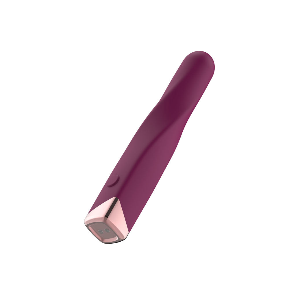 Passion Play Rechargeable Bullet Vibrator – Purple