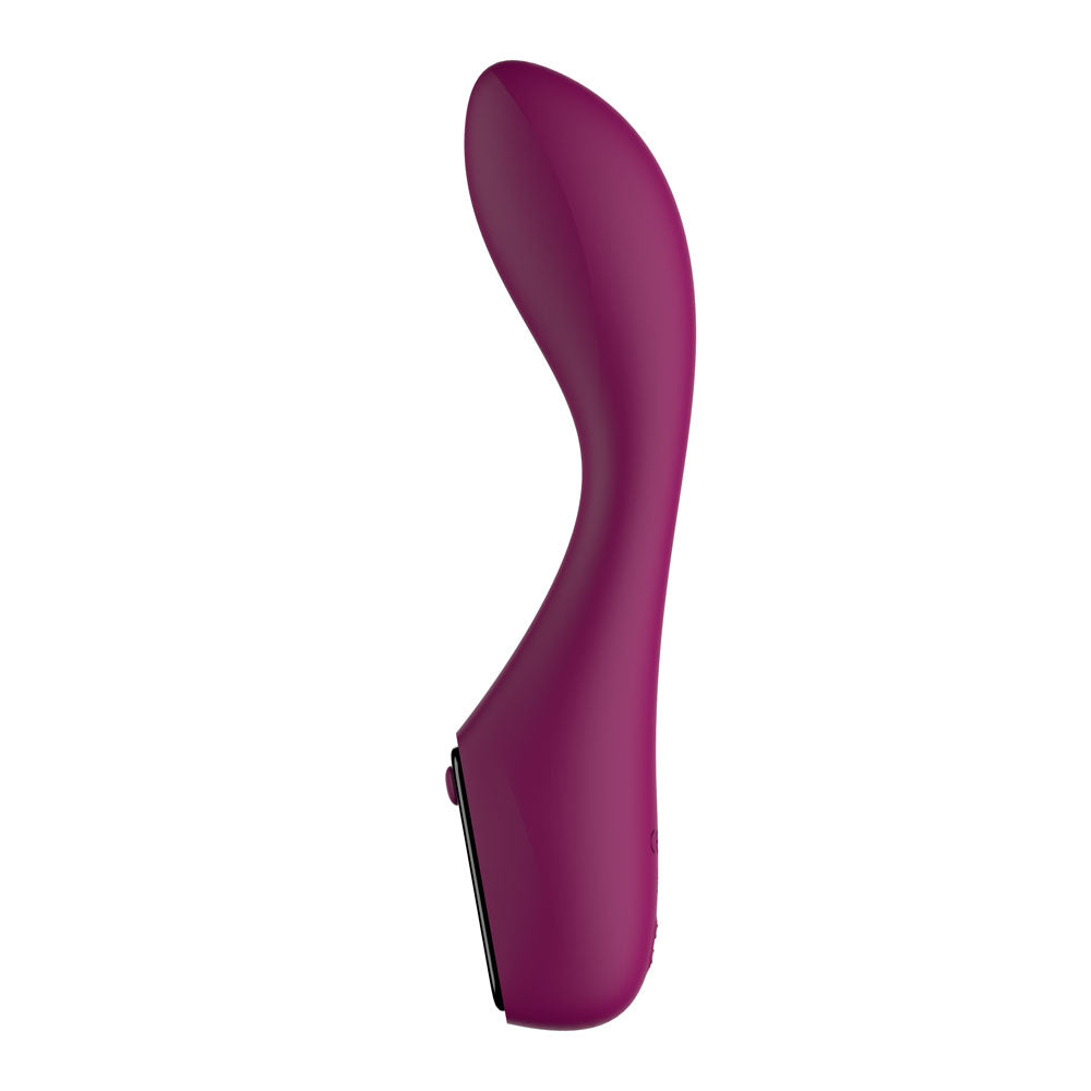 Passion Play G-Spot Vibrator with LED Display – Purple