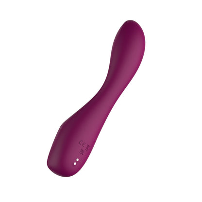 Passion Play G-Spot Vibrator with LED Display – Purple