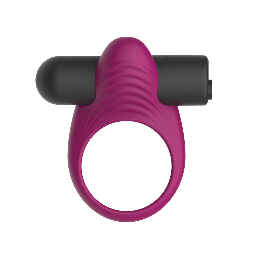 Passion Play Rechargeable Vibrating Ring PP0246 – Purple