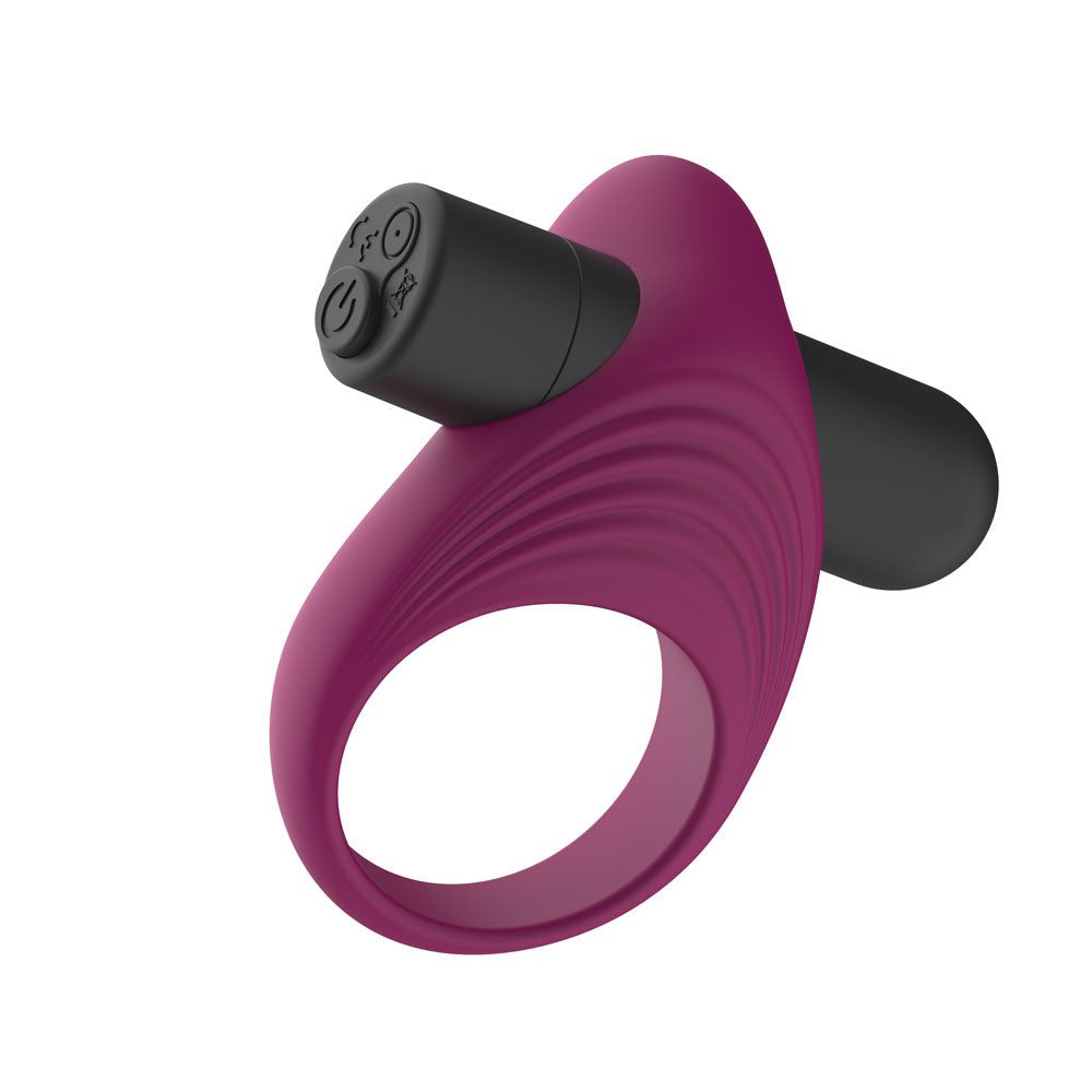 Passion Play Rechargeable Vibrating Ring PP0246 – Purple