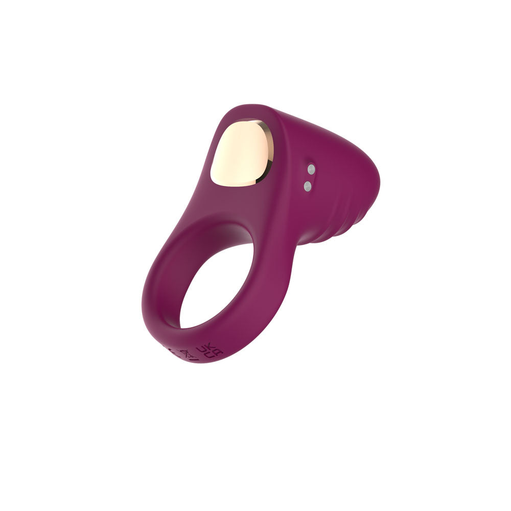 Passion Play Rechargeable Vibrating Ring PP0253 – Purple