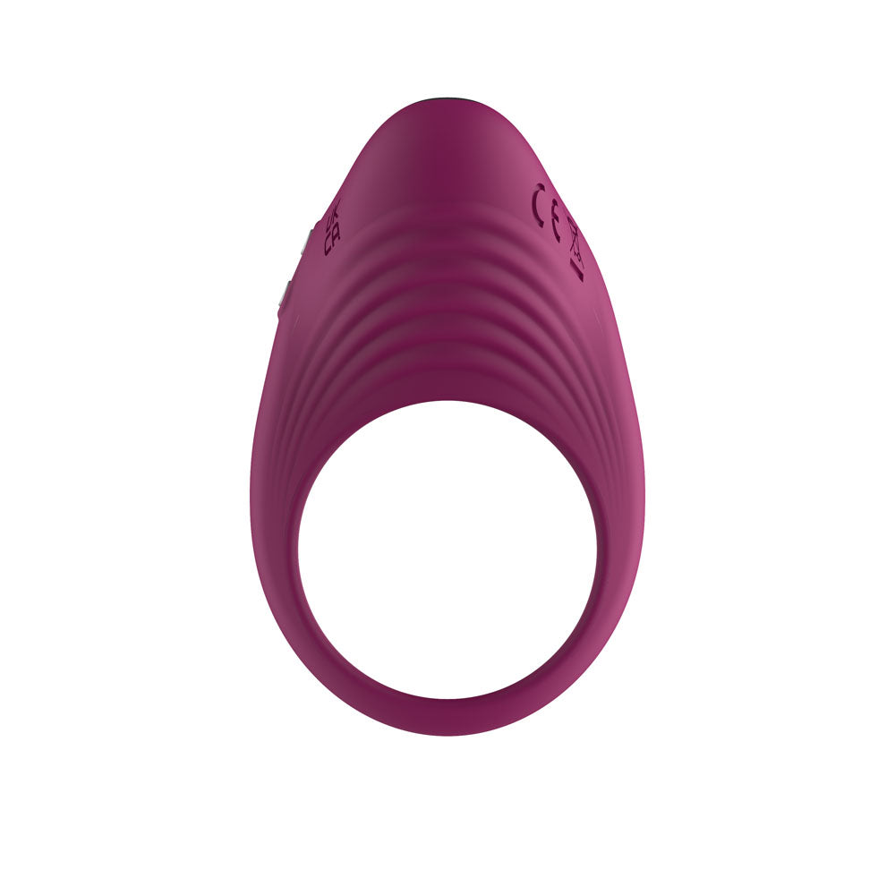 Passion Play Silicone Vibrating Cockring - USB Rechargeable Penis Ring